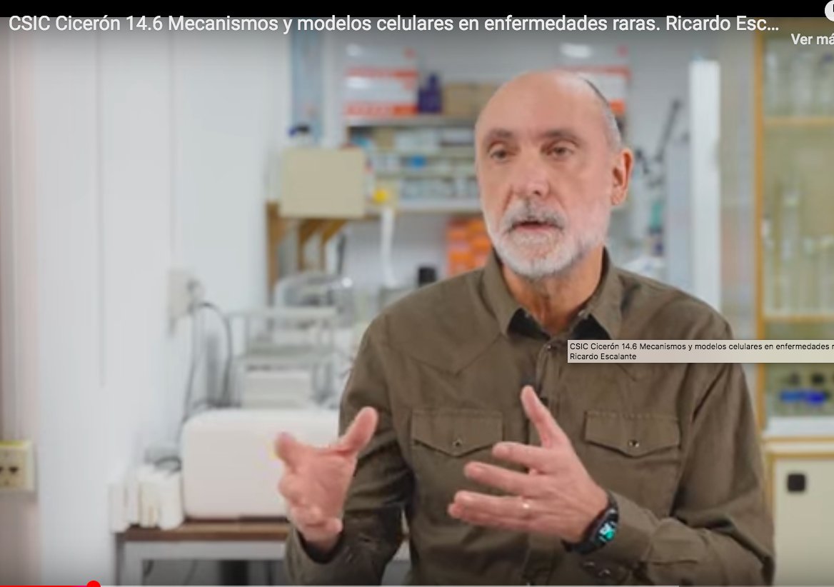 IIBM (@iibmcsicuam) on Twitter photo 📢El #IIBmCSICUAM divulgando en vídeo‼️
No te pierdas los seis vídeos del itinerario Cicerón <a href="/CSIC/">CSIC</a> sobre enfermedades raras <a href="/Raras_CSIC/">Red de Enfermedades Raras del CSIC</a>
🚀El número 6 es el de nuestro compañero Ricardo Escalante <a href="/AutophagyLabIIB/">AutophagyLabIIB</a> 👇 📢El #IIBmCSICUAM divulgando en vídeo‼️
No te pierdas los seis vídeos del itinerario Cicerón <a href="/CSIC/">CSIC</a> sobre enfermedades raras <a href="/Raras_CSIC/">Red de Enfermedades Raras del CSIC</a>
🚀El número 6 es el de nuestro compañero Ricardo Escalante <a href="/AutophagyLabIIB/">AutophagyLabIIB</a> 👇