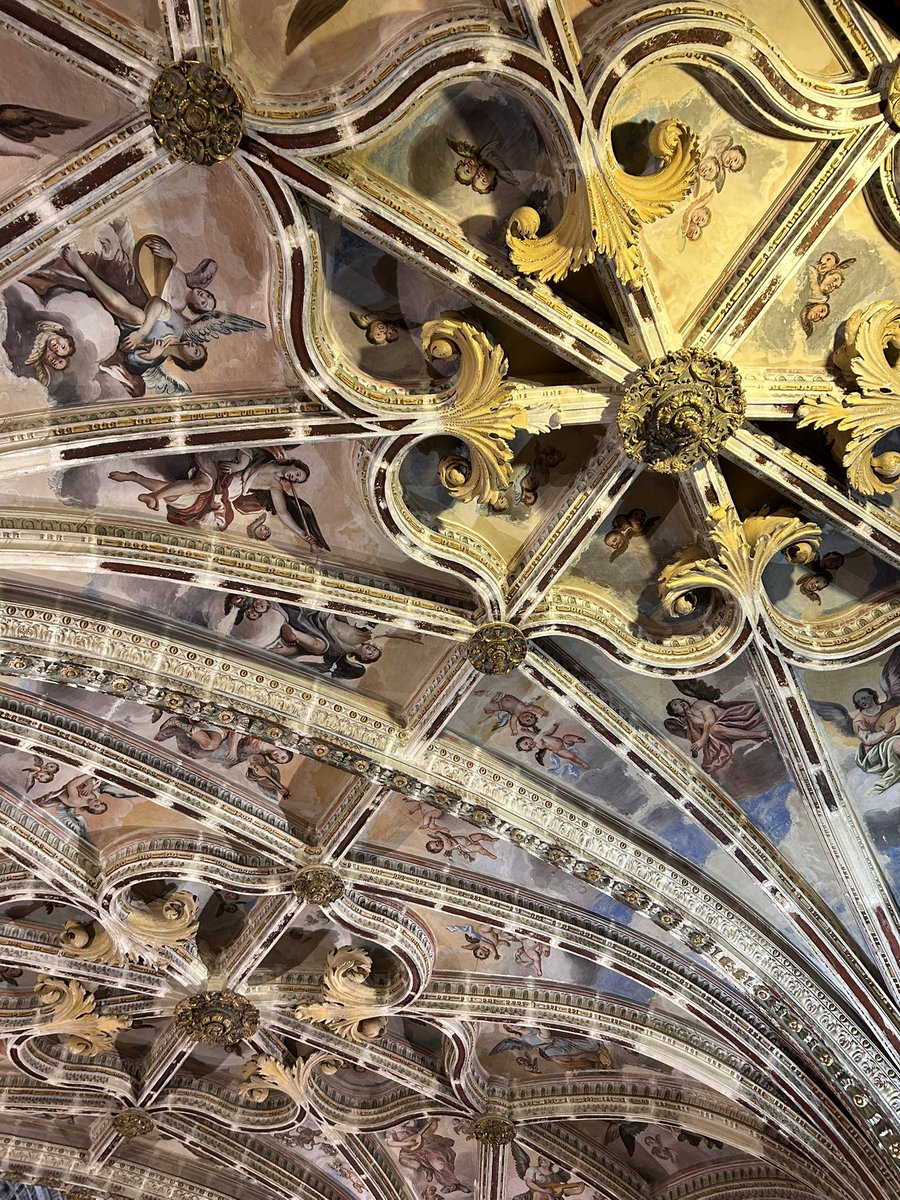 JORGE TRILLO (@jorgetrillov) on Twitter photo 