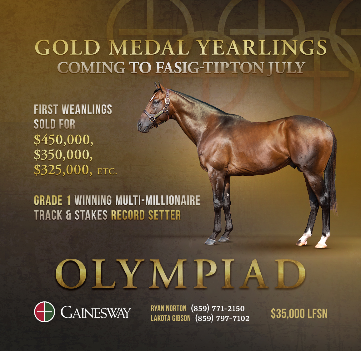 Gainesway's tweet photo. #GoldMedal Yearlings coming to #FasigJuly 🇺🇸
Look for first-crop yearlings by Grade 1-winning multi-millionaire OLYMPIAD 🏅 selling next Tuesday @FasigTiptonCo
#Olympiad #FTJuly #Yearlings https://t.co/mRjlYzKlVo