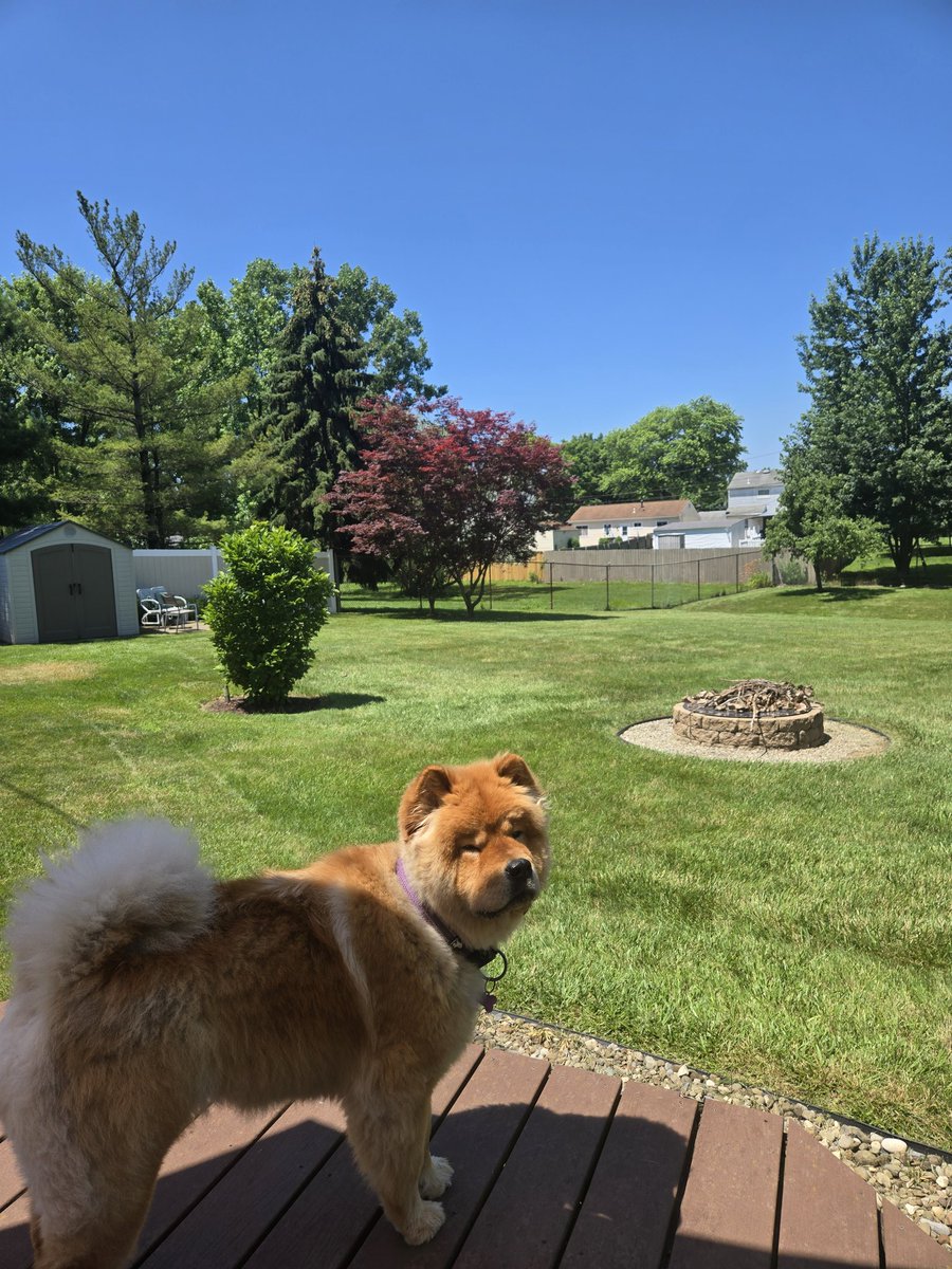 81° almost perfect 👌 <a href="/KatieMcGrawx/">Katie McGraw</a> <a href="/SamRobertsWX/">Samantha Roberts 🌤️</a> <a href="/JennHarcher/">Jenn Harcher</a> <a href="/BetsyKling/">Betsy Kling 🌤️</a>