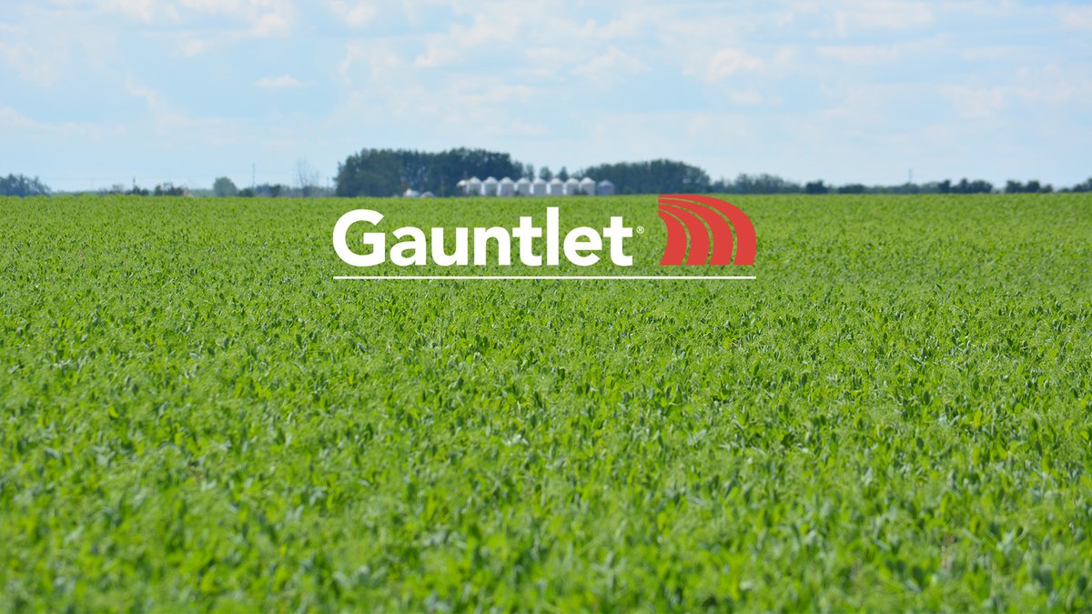 Manage diseases like Anthracnose, Ascochyta blight, Mycosphaerella blight and White mold in your pulses this season with #Gauntlet fungicide. Learn more: bit.ly/43mz3h3 #WestCdnAg