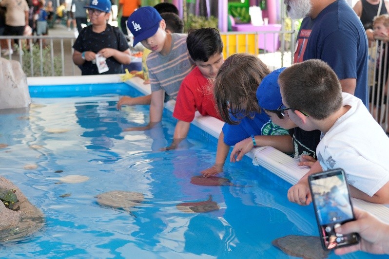 Big Fresno Fair (@bigfresnofair) on Twitter photo Calling all K - 8th grade, public, private, charter or home school educators! Registration is now open for the #FairEducation Program at the #2025BFF! Register today at fresnofair.com/faired.
<a href="/CareForKids/">Valley Children's</a> <a href="/myEECU/">EECU</a> <a href="/FresnoCoSS/">Fresno County Superintendent of Schools</a> <a href="/fresnounified/">Fresno Unified</a> Calling all K - 8th grade, public, private, charter or home school educators! Registration is now open for the #FairEducation Program at the #2025BFF! Register today at fresnofair.com/faired.
<a href="/CareForKids/">Valley Children's</a> <a href="/myEECU/">EECU</a> <a href="/FresnoCoSS/">Fresno County Superintendent of Schools</a> <a href="/fresnounified/">Fresno Unified</a>