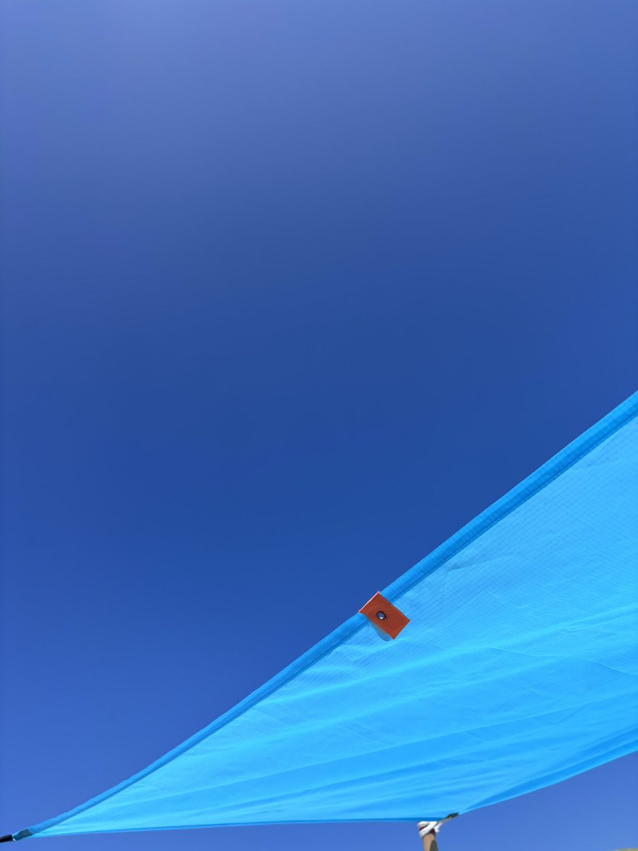 Anne-Louise Quinton tweet media