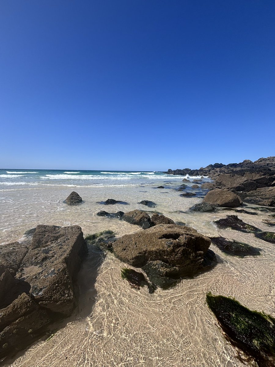 Anne-Louise Quinton tweet media