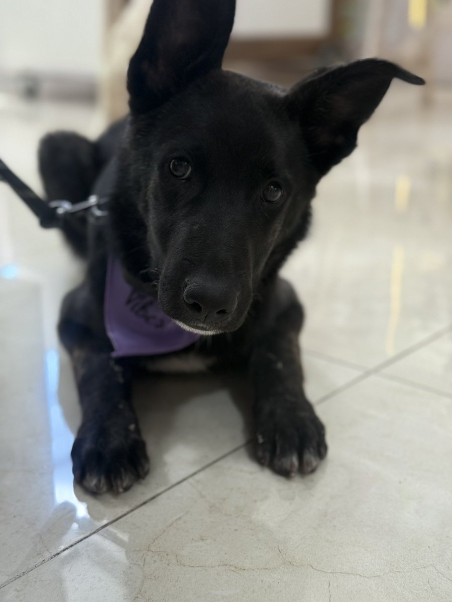 Daniela Baeza Tv tweet media