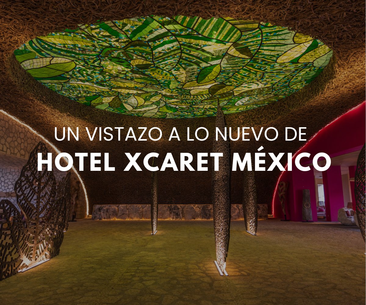 hotelxcaretmx's tweet photo. ¡Descubre todo lo nuevo que ya puedes disfrutar! Nuevas albercas, rooftops, toboganes, restaurantes exclusivos y muchos más espacios y actividades para toda la familia te esperan. En este #BlogXcaret encontrarás todos los detalles ☞ https://t.co/84A99z0aDf https://t.co/HAuaanedaN