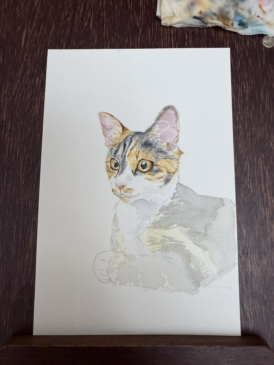 그리다가 고양이들 싸움 나서 잠시 중단한 그림