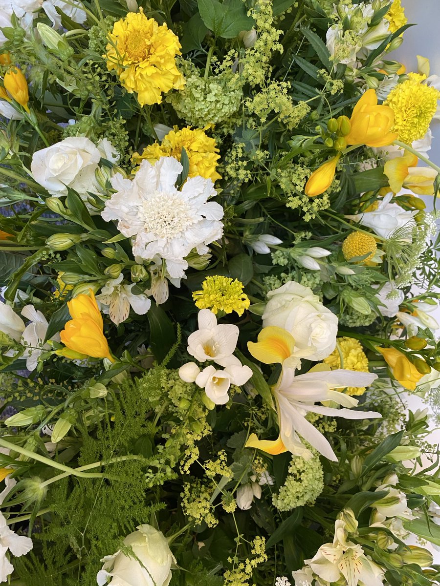 Marion Koopmans, publications: https://pure.eur.nl tweet media