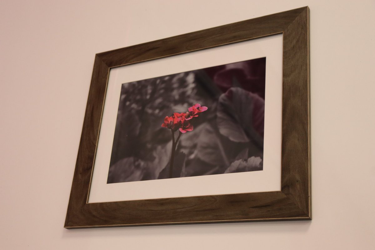 BFLPT Performing Arts tweet media