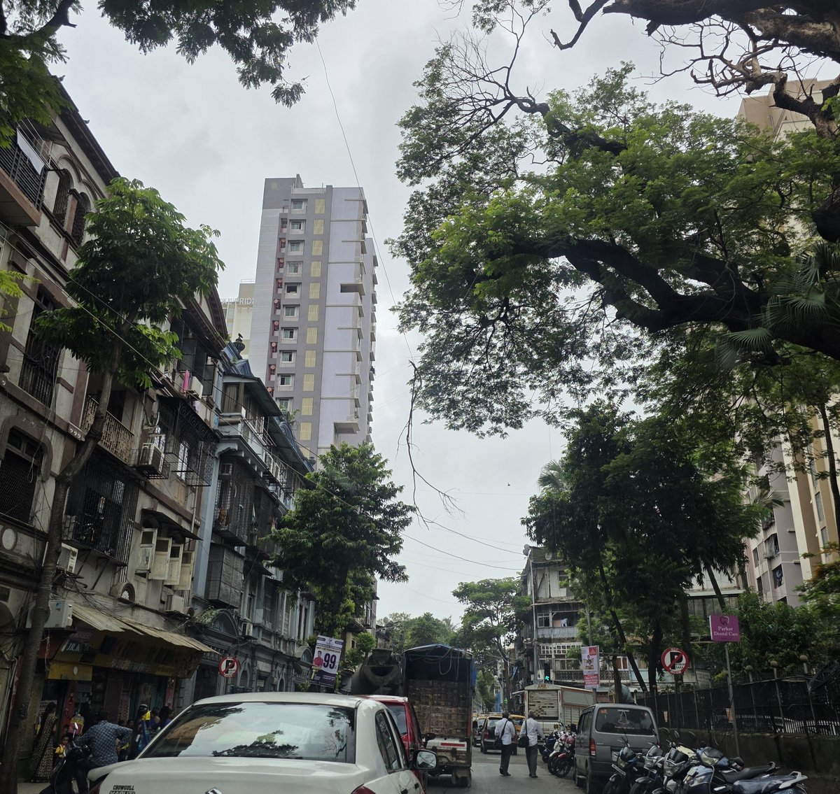 anasdokadia's tweet photo. This branch hanging on a wire on Sofia Zubair road near nagpada police station since days now. Please get it remove before anyone gets hurt @mybmc @Nagpadaps @rais_shk https://t.co/cQzMDNYj8C