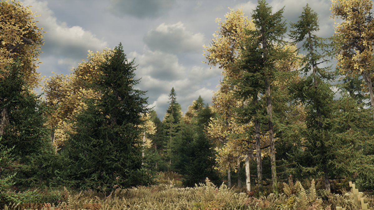 New map :)

planetminecraft.com/project/silver…
#minecraft #conquestreforged