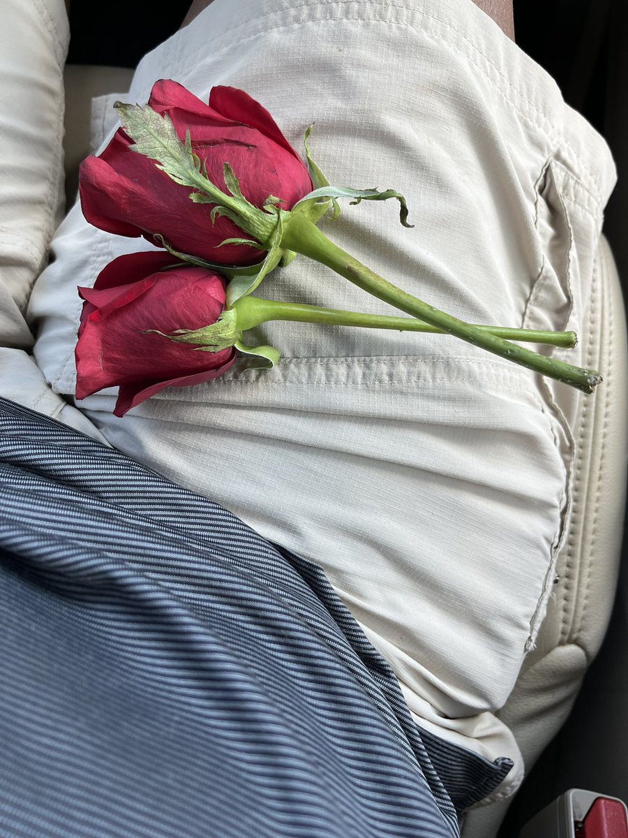 PitViperSports's tweet photo. @kroger you have to do better. Selling flowers that are defective is bad business, then not taking them back is even worse. #customerservice by this guy in Woodstock, GA was horrible https://t.co/P66mvBxZ1G
