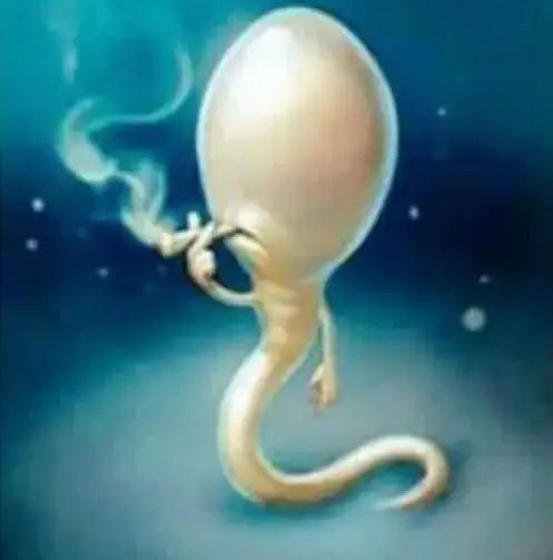 Cruyff🐐 tweet media