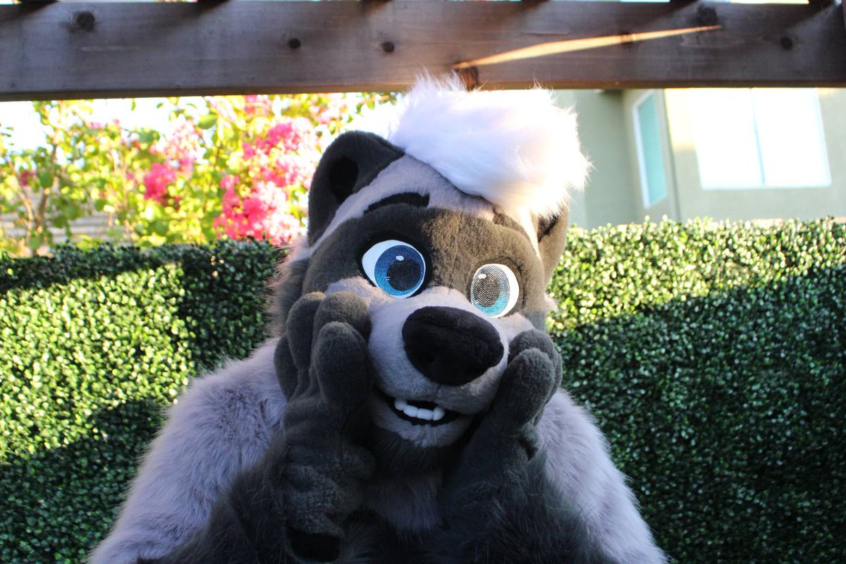 gil_otter's tweet image. Everyone say hi to Sam!!
Just finished this full fursuit for @djfatshepherd ! Huge thanks for choosing me to make him real! Be sure to see him at Megaplex!
I'm planning to open up for fursuit comms on July 14th, stay tuned!!