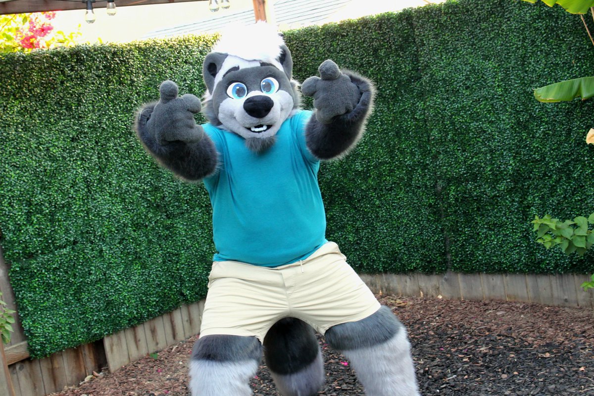 gil_otter's tweet image. Everyone say hi to Sam!!
Just finished this full fursuit for @djfatshepherd ! Huge thanks for choosing me to make him real! Be sure to see him at Megaplex!
I'm planning to open up for fursuit comms on July 14th, stay tuned!!