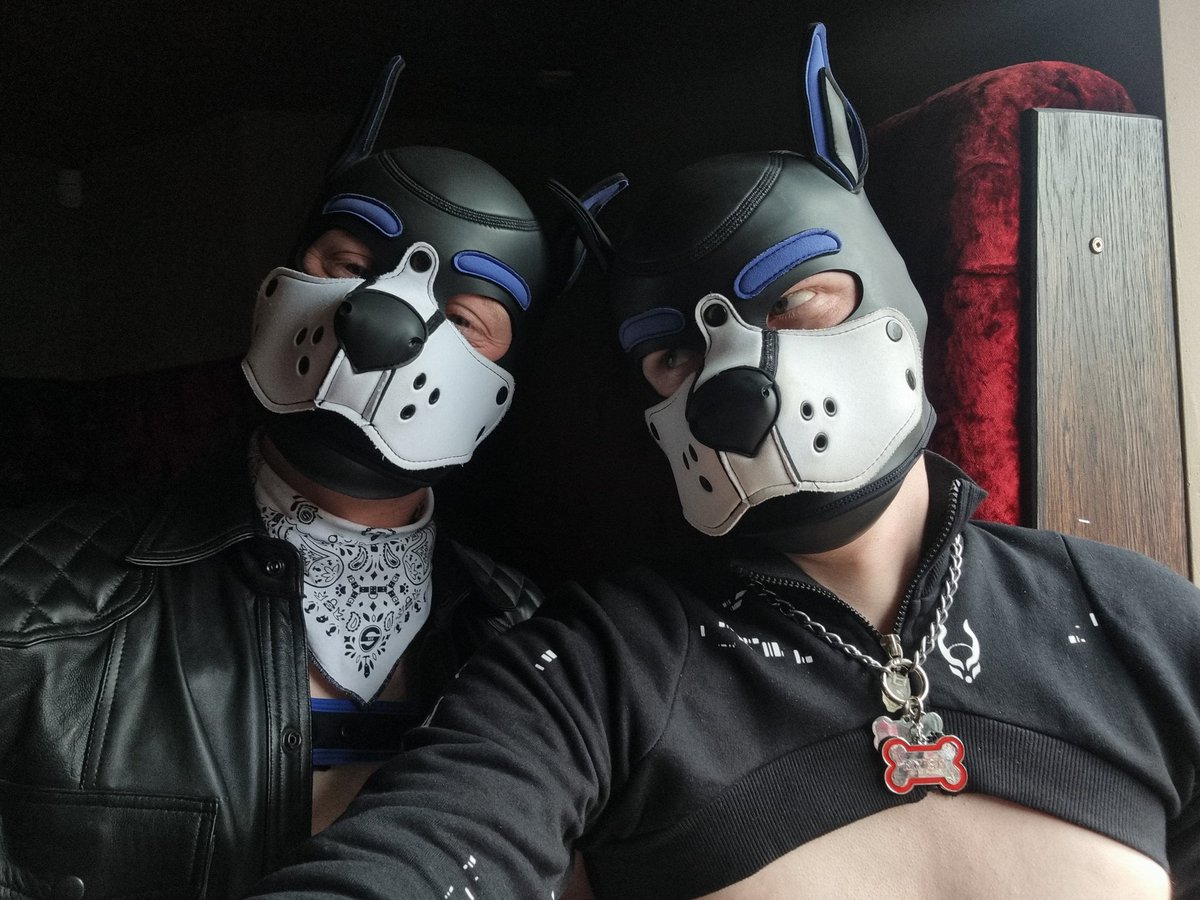 Prepare for trouble! And make it double!

(🐶 - <a href="/Puppy_Saber/">Saber.</a>)