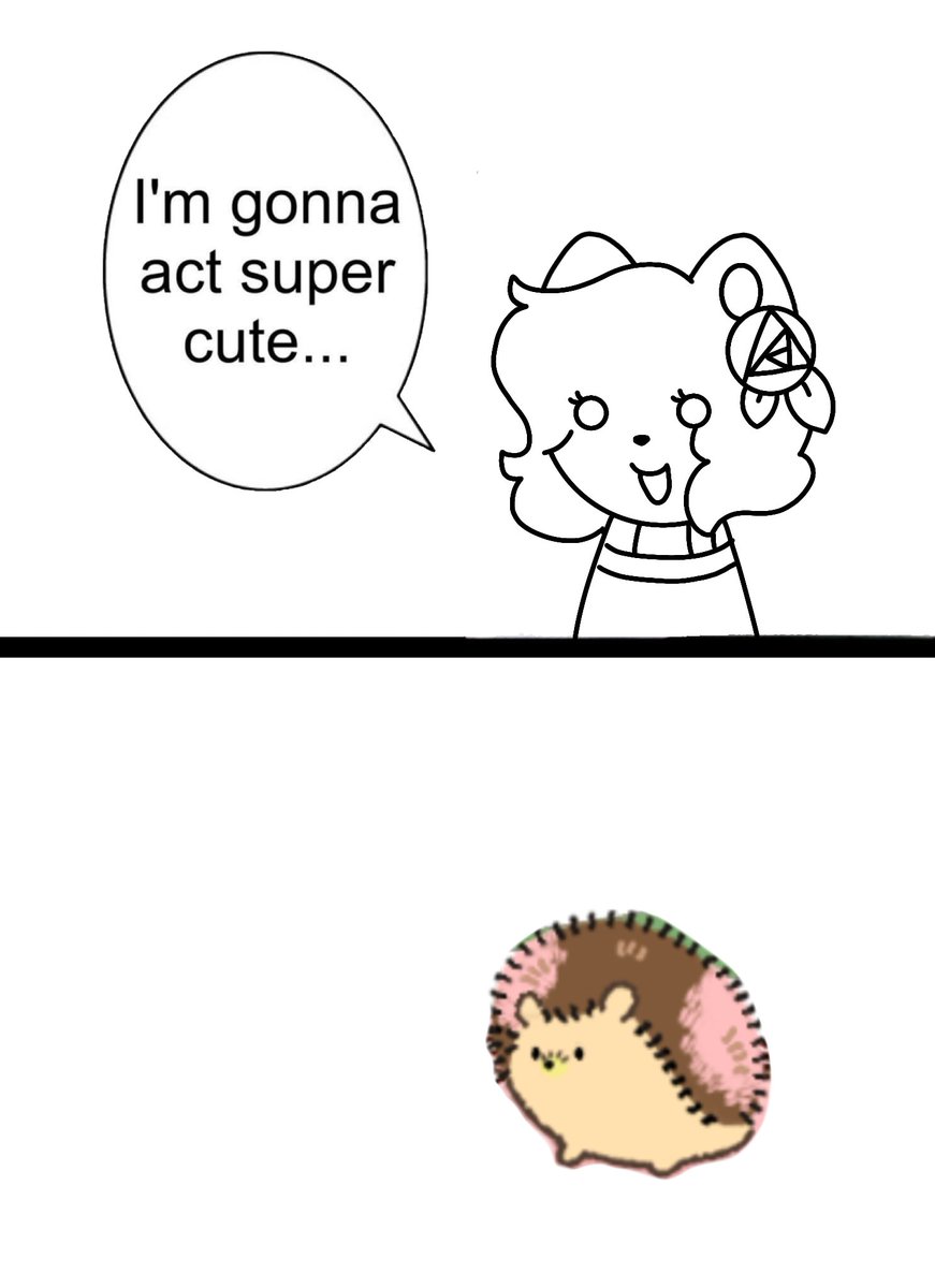 🐇 ۫ Ꮺ ¡ Rosemary ! tweet media