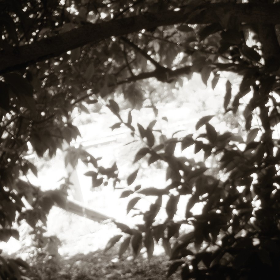 尚未开始的夏日。
-
前段时间忙得在互联网上消失了已经。