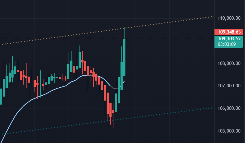 RealCryptoFace's tweet photo. Guess what these lines are... https://t.co/Thhv6yqaMO