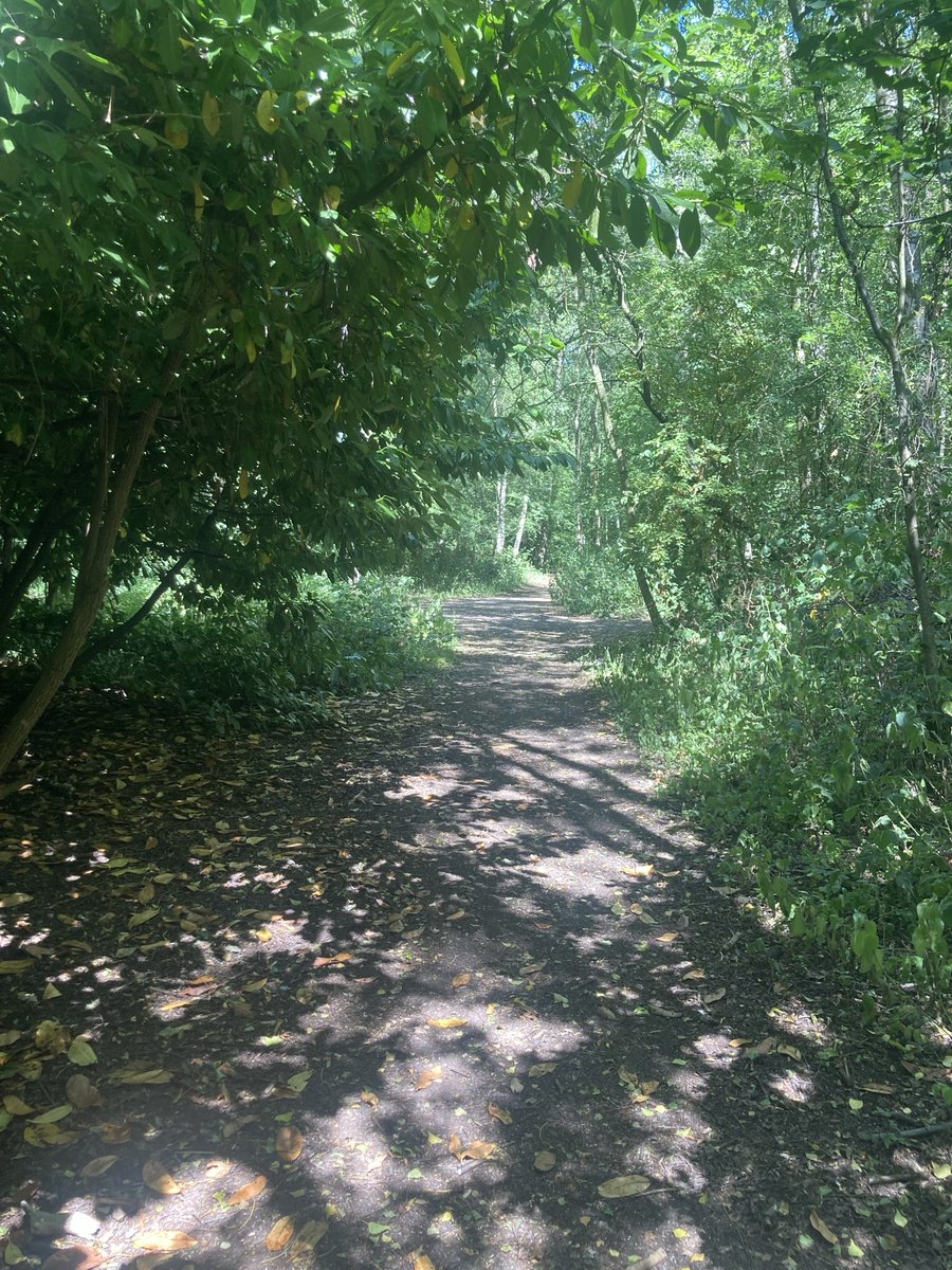 None of us really know where life’s path will take us or who we might meet along the way. That’s part of life’s mystery. Despite all the current chaos and trauma in the world, we are living in very interesting times and I believe things are slowly turning in our favour.