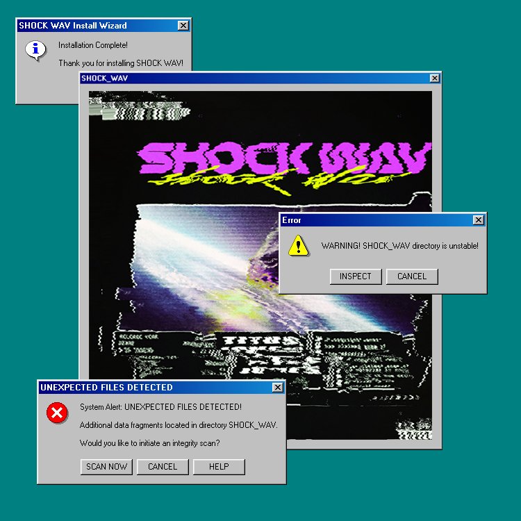💾 unexpected files detected... initiate integrity scan? (y/n)