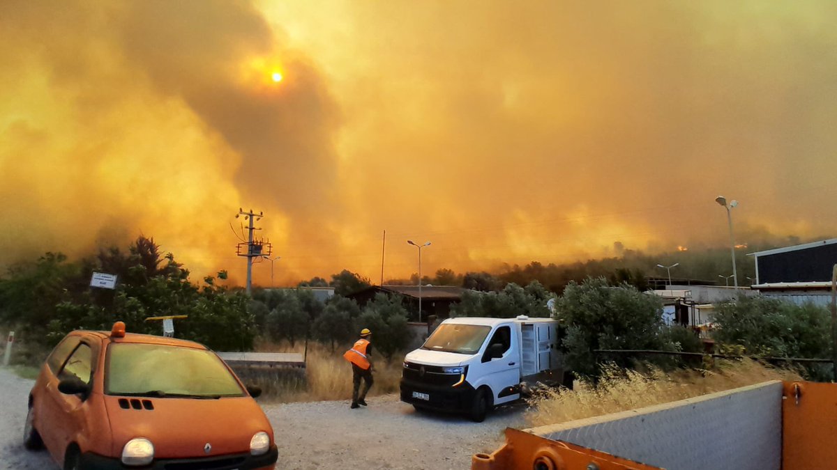 Sultan Dens tweet media