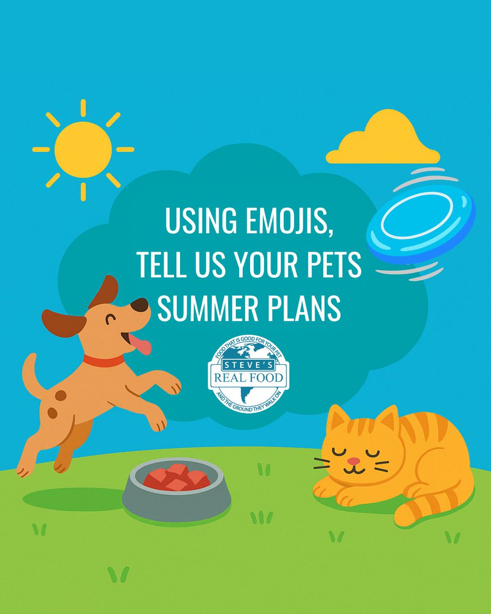 We want to hear all about your pet’s summer adventures! Drop their plans in the comments—using only emojis! ☀️🐾💬