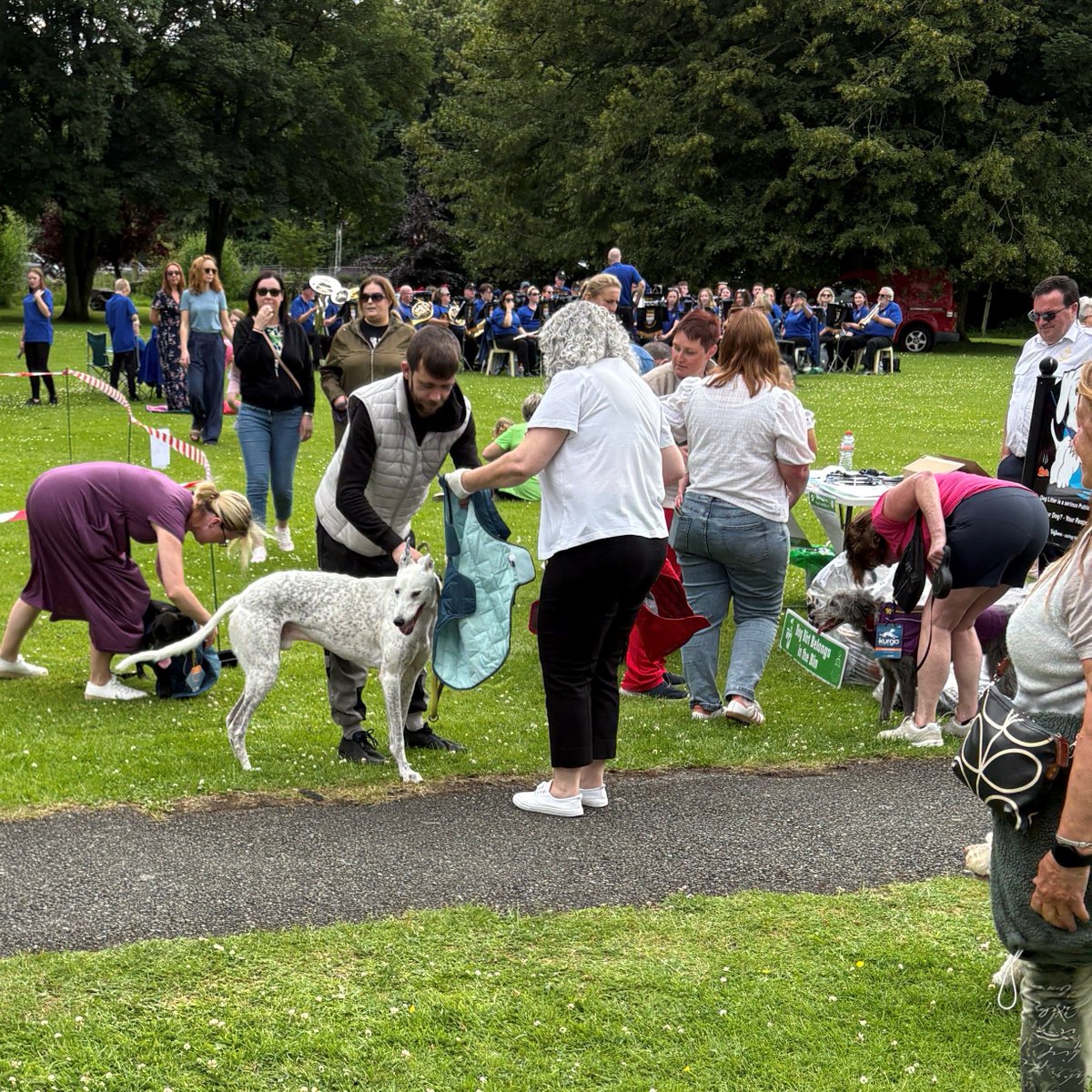 louthcoco's tweet photo. What a wonderful event we had in Ardee at the Dog Fouling awareness event. Thank you to Pet Safe for all the fantastic prizes. 🐶
Be sure to come along to our NEXT EVENT in St Helena's Park on Sunday 13th July. 🐾
@petsafe
#petsafe #communitysupport #bagitbinit https://t.co/AYPsmd9dET