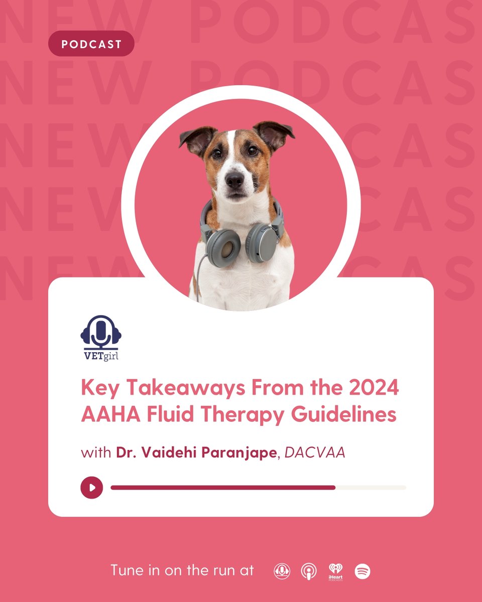 🎙️ What You Need to Know: 2024 AAHA Fluid Therapy Guidelines 💧🐶🐱

🔗 vetgirlontherun.com/podcasts/key-t…

#VETgirlPodcast #FluidTherapy #AAHAGuidelines #VetMed #VeterinaryEducation #VetAnesthesia #VeterinaryCE #VetLife