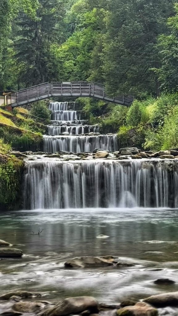 Nigel Parkin tweet media