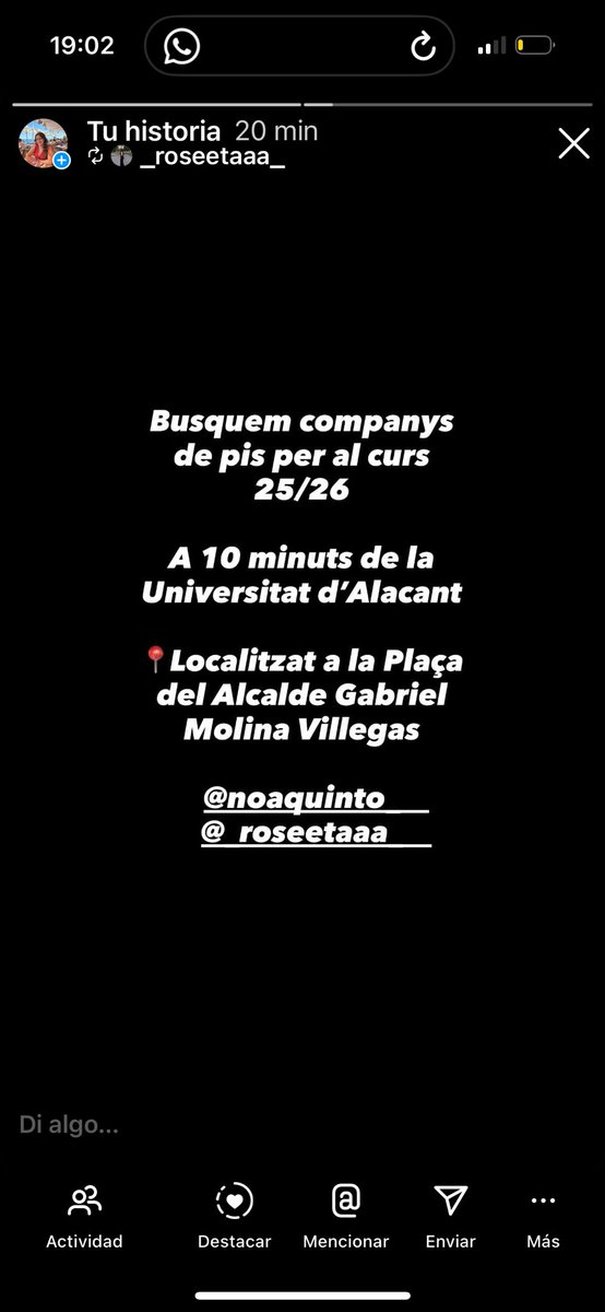 Noa☀️ tweet media