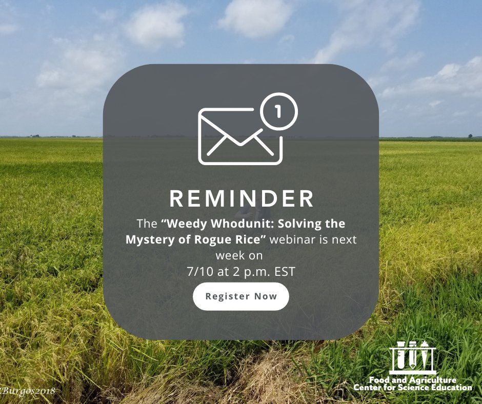 🗓 Just one week to go! Join us for a FREE teacher webinar on Thursday, July 10 at 2 p.m. EST: Weedy Whodunit: Solving the Mystery of Rogue Rice

🎯 Designed for: High school science teachers
🎟️ Save your seat now: us02web.zoom.us/meeting/regist…