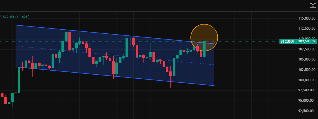 Dogwifhat tweet media