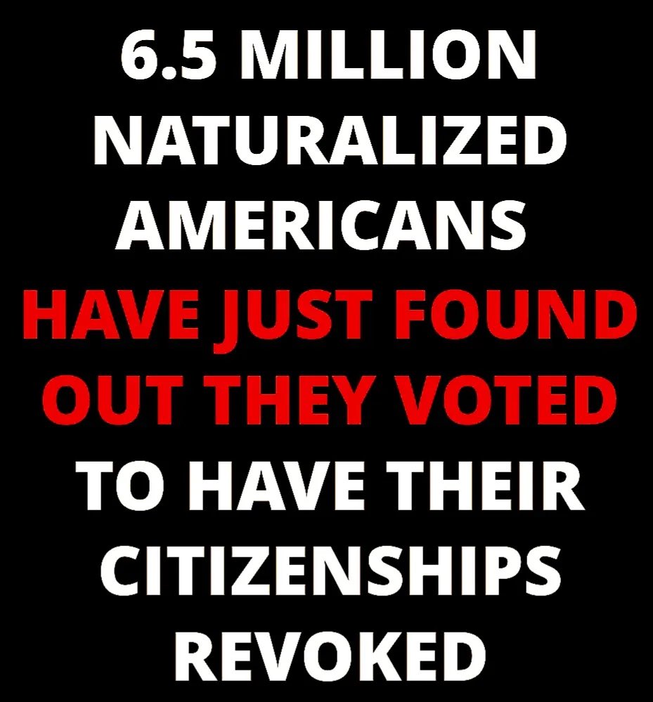 💙 Patricia Newman 💙 (dog lover) 💙 (@pnewman51) on Twitter photo 