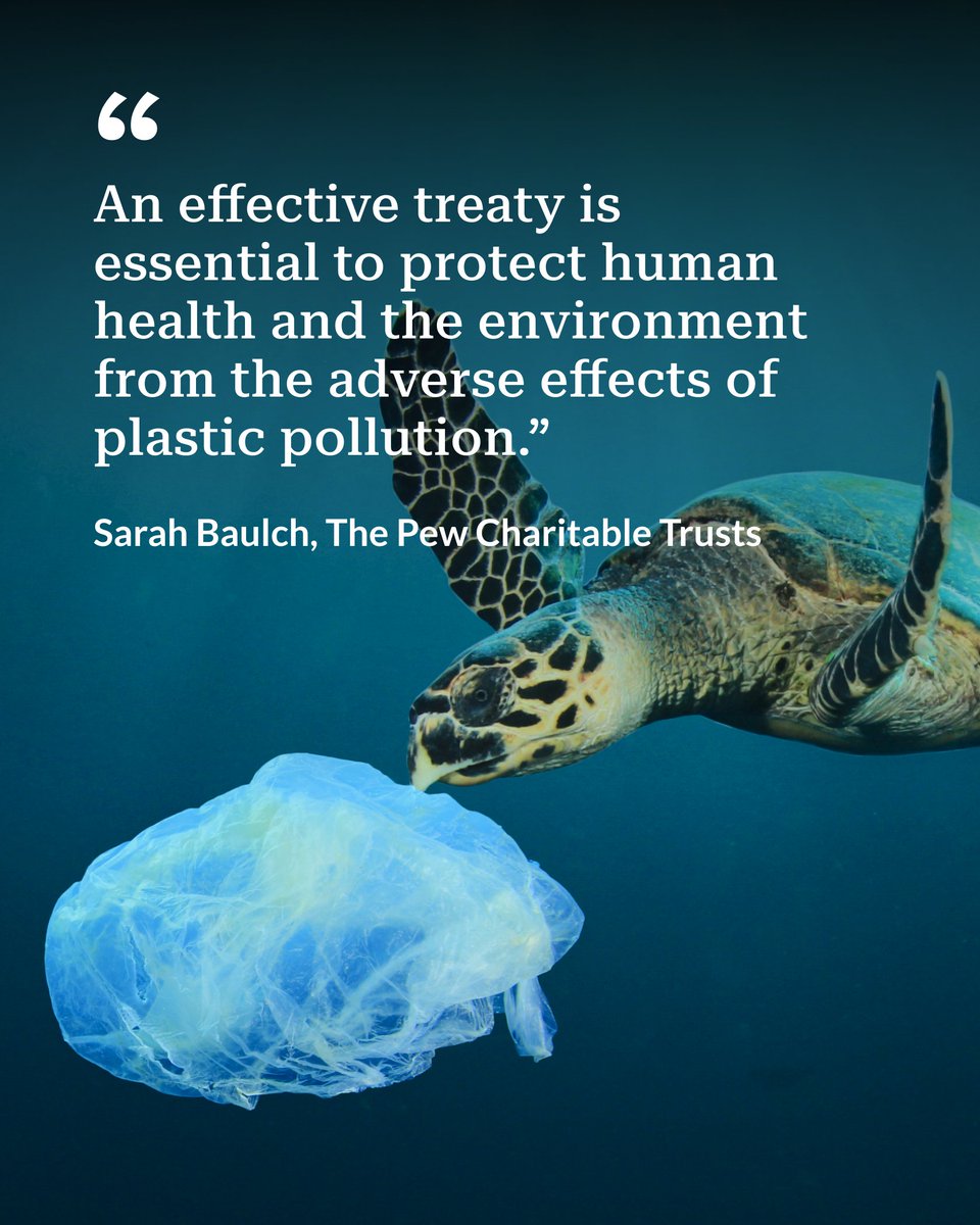 Momentum is building: 95 countries join the call for an ambitious plastics treaty that addresses plastic pollution from production to disposal—protecting both human health and our environment. pewtrsts.org/43Wegju?utm_ca…

📸 Rich Carey/Shutterstock.