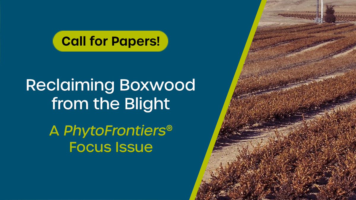 📢 Call for Papers!
Submit to the PhytoFrontiers focus issue: "Reclaiming Boxwood from the Blight"
🗓️ Deadline: October 1, 2025

Guest Editors: Chuanxue Hong, <a href="/drdogtree/">Margery Daughtrey</a>, Douglas Luster, Jill Calabro
🔗 Learn more: apsjournals.apsnet.org/bbig

<a href="/BoxwoodHealth/">Chuan Hong</a>