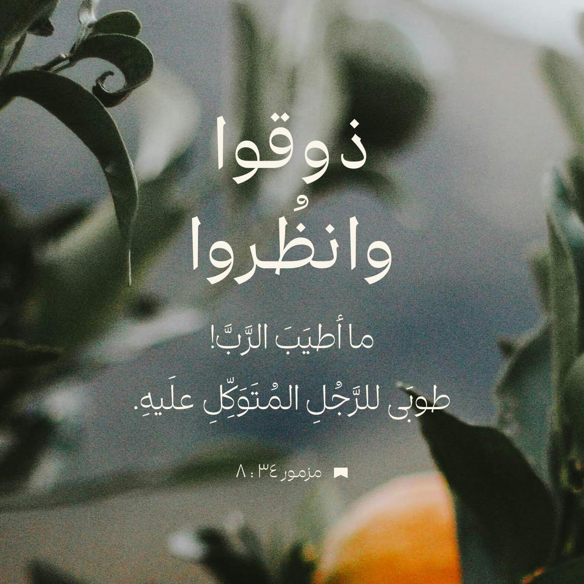 ذُوقُوا وَٱنْظُرُوا مَا أَطْيَبَ ٱلرَّبَّ! طُوبَى لِلرَّجُلِ ٱلْمُتَوَكِّلِ عَلَيْهِ.