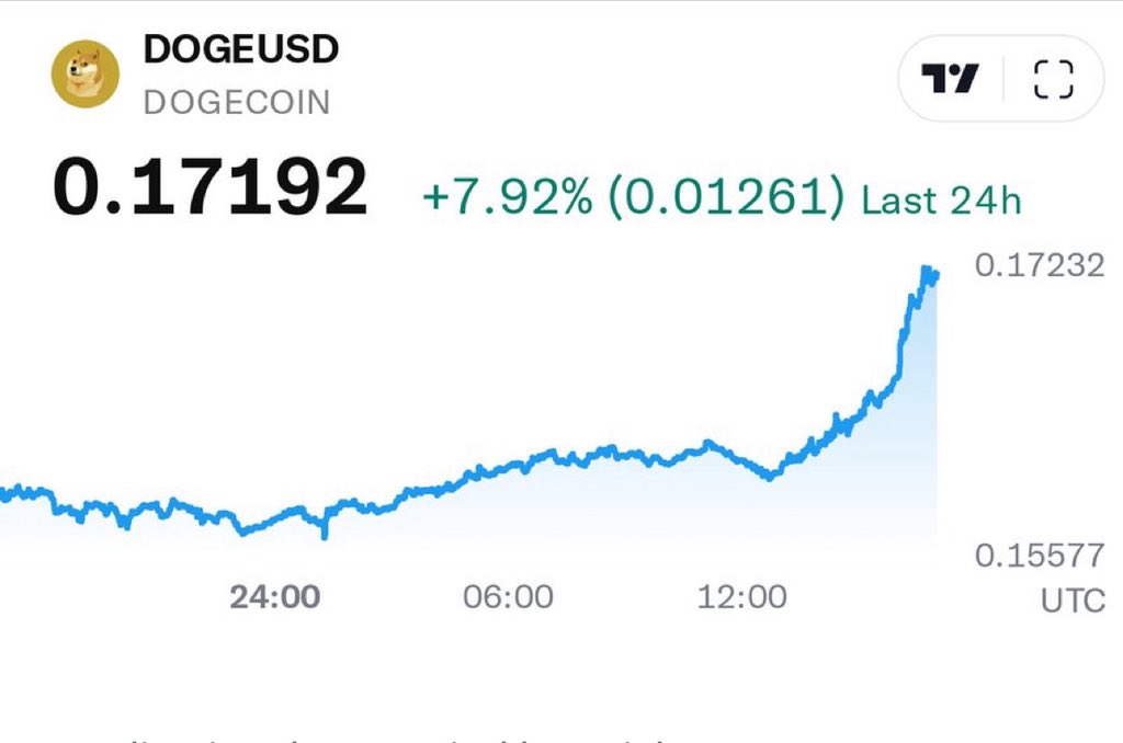 $doge breaking out 📈

Thank you for your attention to this matter <a href="/cb_doge/">DogeDesigner</a>