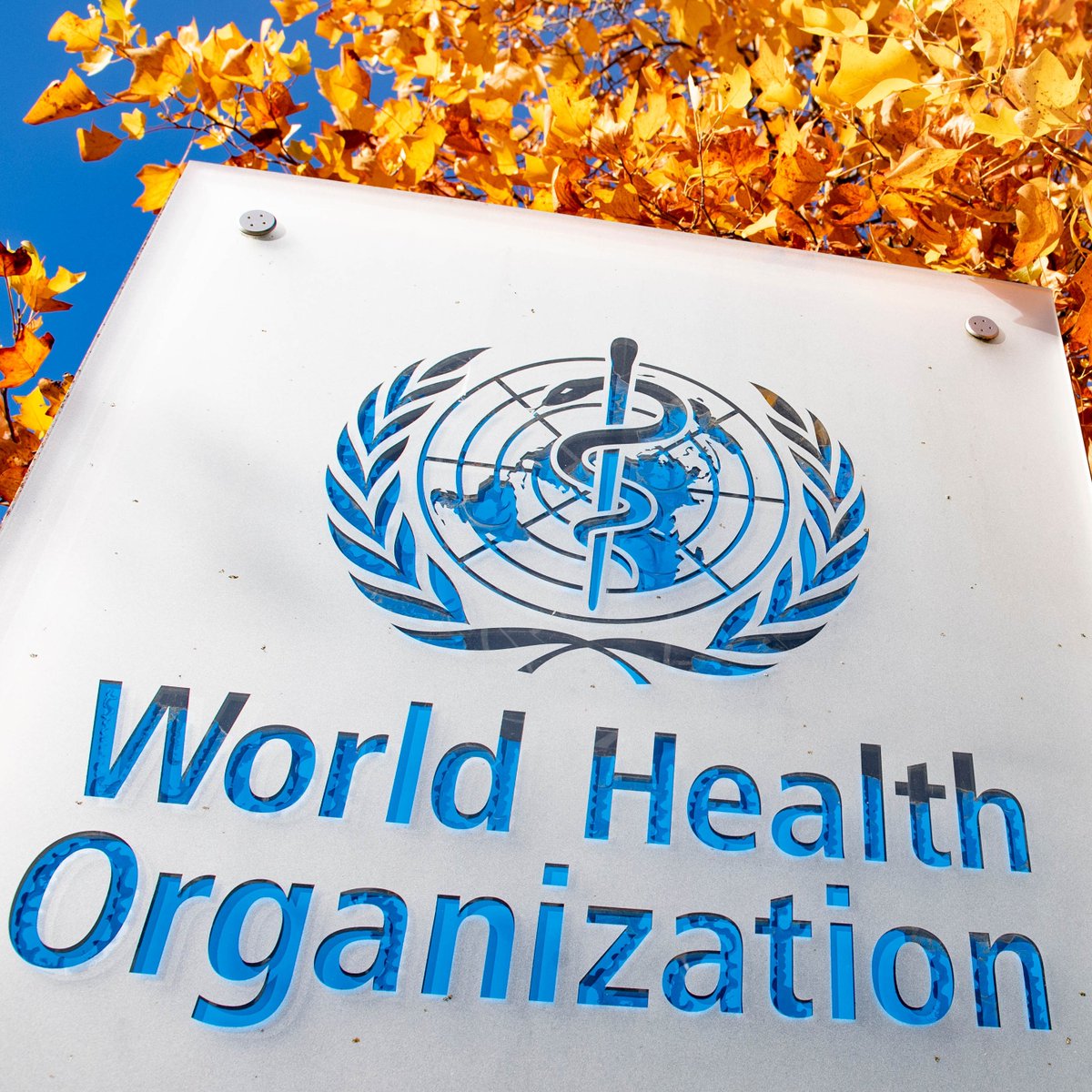 Mario Nawfal tweet media