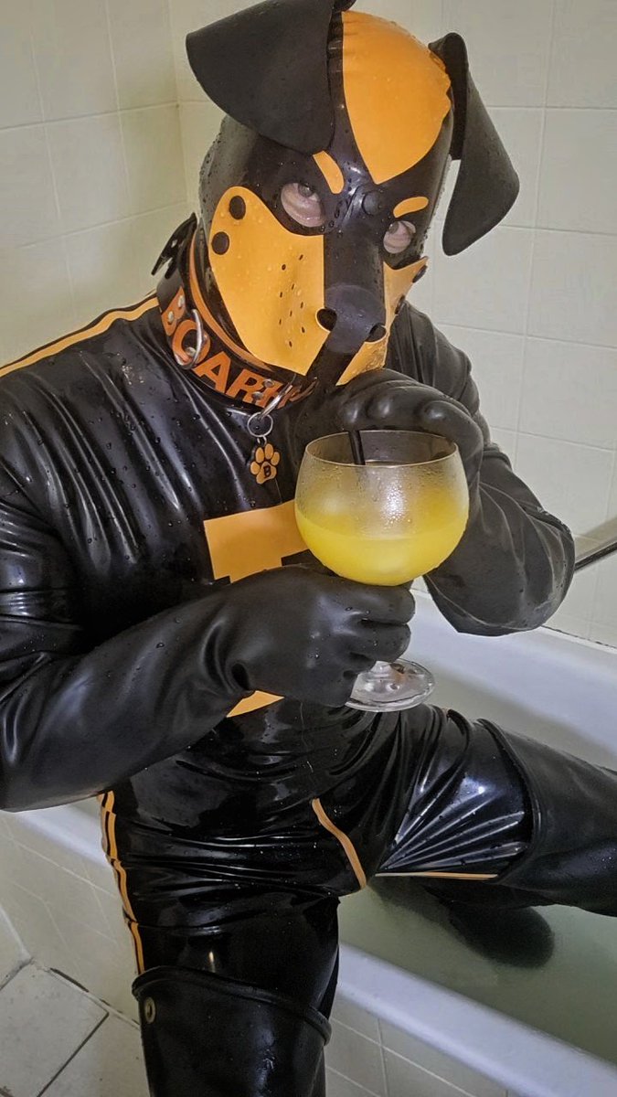 Summertime 🐶🧡🖤