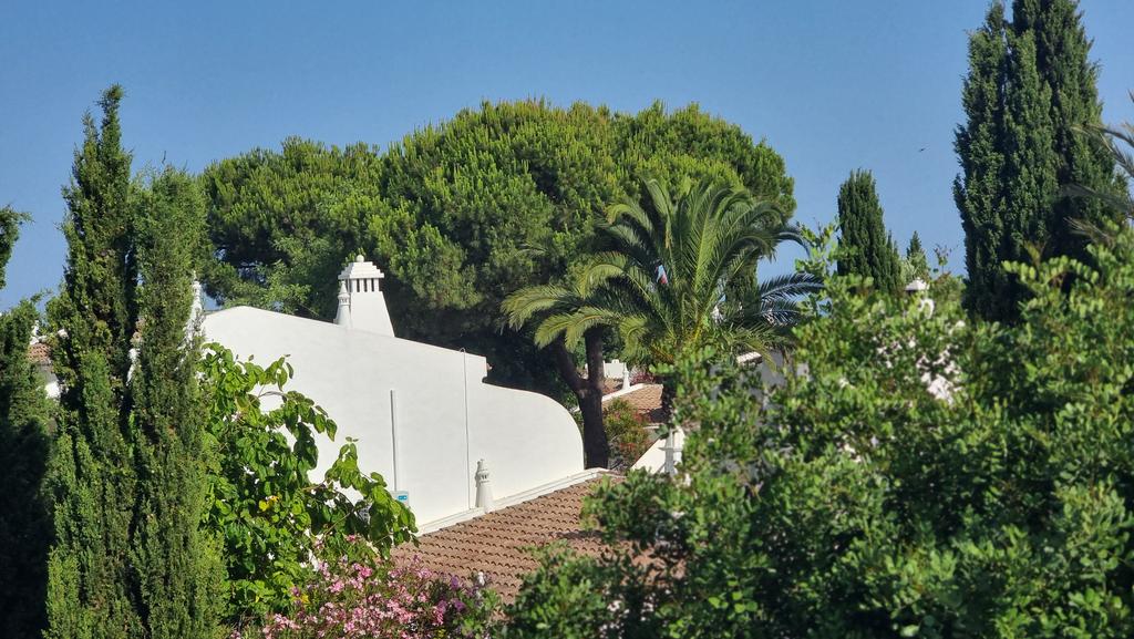 Survived a very rowdy flight, made better by an afternoon in the Sun......