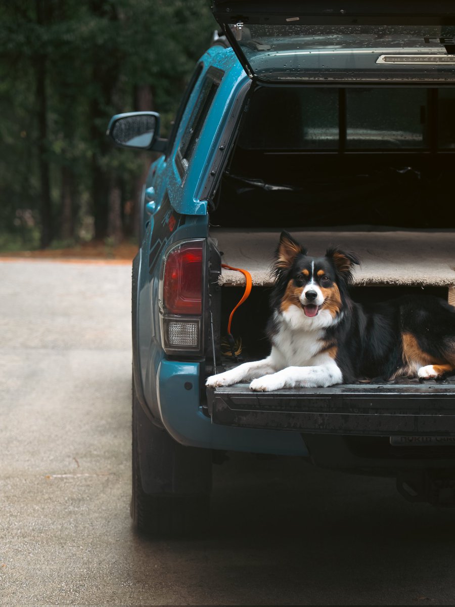 Eric Liffrig tweet media