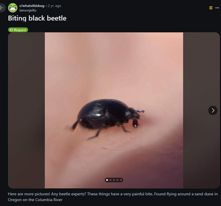 BlueBirdSees's tweet image. One of these just bit my neck. What is it ???

#entomologist