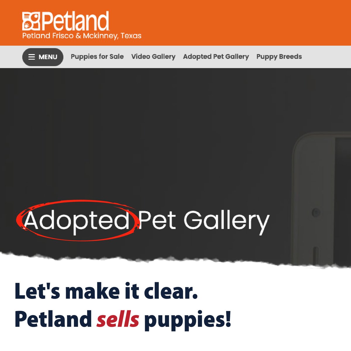 Texas Humane Legislation Network (THLN) tweet media