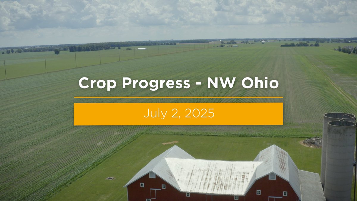 This week we are in Northwest Ohio. Corn and soybean crops in Northwest Ohio show high variability, though national averages remain strong. Wheat, however, is outperforming expectations locally, with a promising harvest outlook: brnw.ch/21wTQRI — #corn #soybeans #wheat