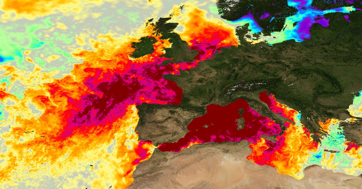 The Mediterranean is on fire.

A buoy off the coast of Majorca has measured a sea surface temperature of 31ºC, the average AUGUST temperature is 26ºC.

Temperatures range from 3-7ºC above average across the basin. This marine heatwave is setting new records for what's possible.