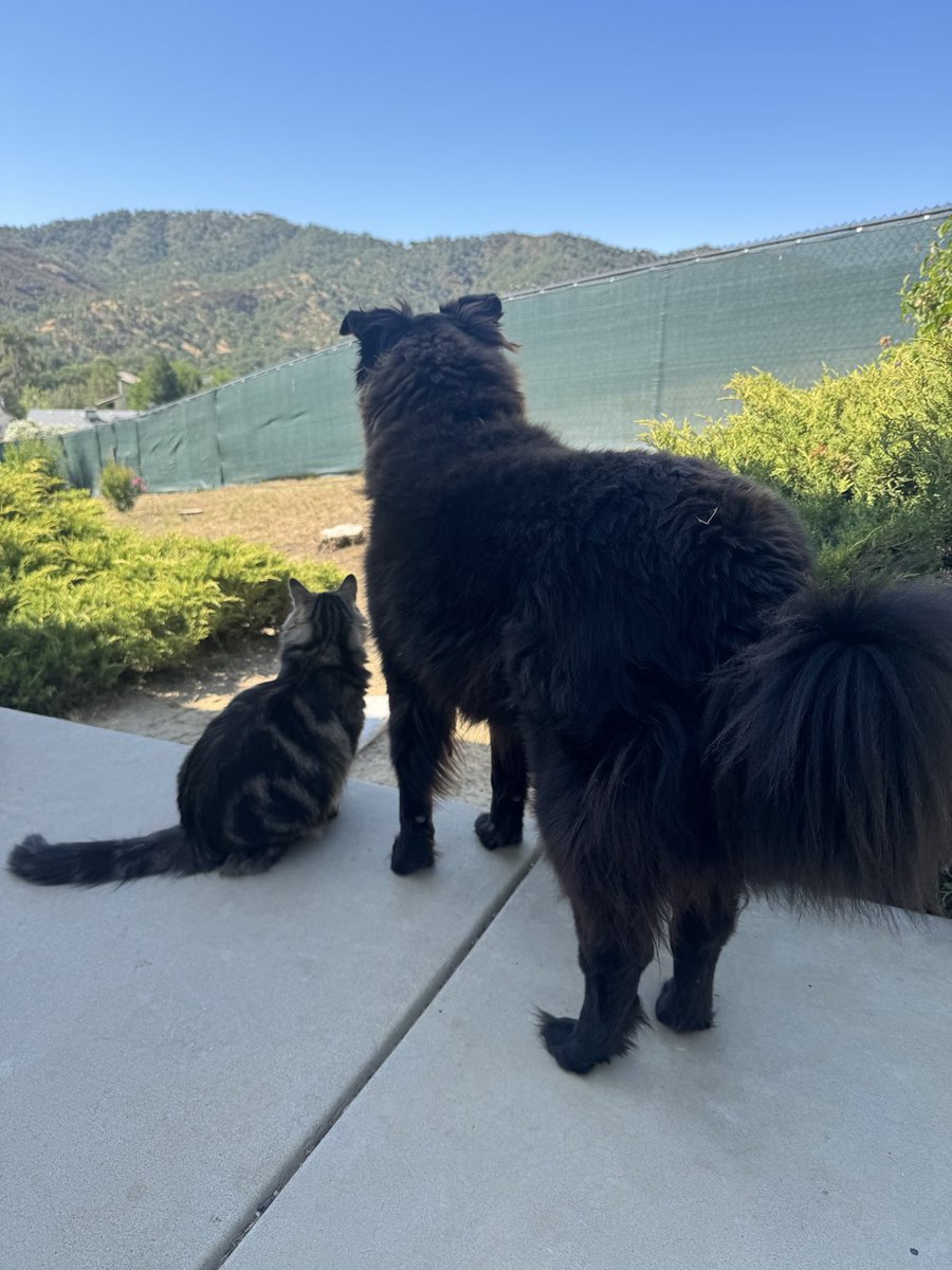 STEPHEN E PEARCY (@stephenepearcy) on Twitter photo Look, over there says Charles to the BEAR. Look, over there says Charles to the BEAR.