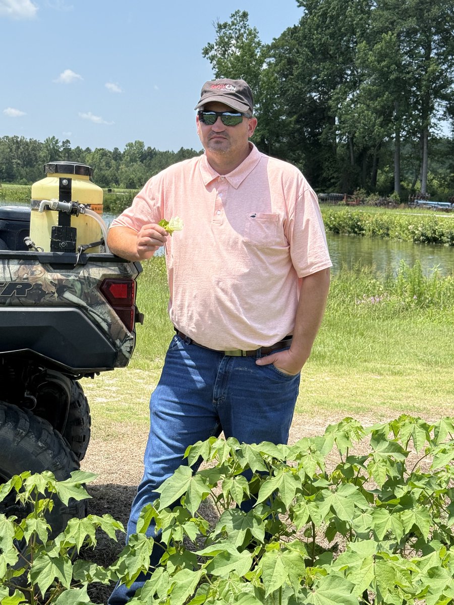 Always exciting when you find that first Cotton bloom of the year! Found it this year on a Sunday ride through my <a href="/DELTAPINE/">DELTAPINE</a>  NPE Plot