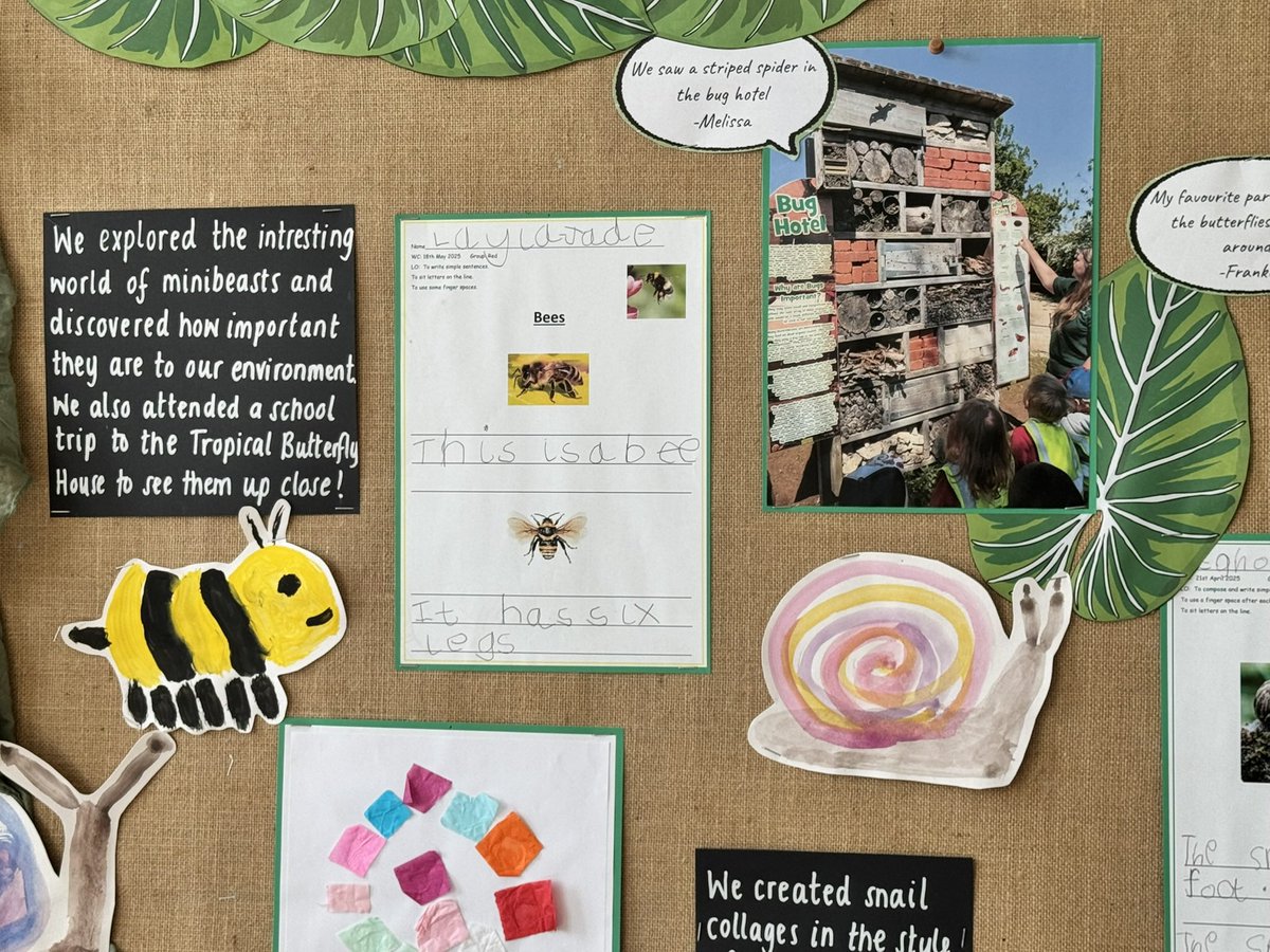 clark84_em's tweet image. I walked into our F2 ECT’s classroom last week @EdVicAcademy and was super impressed with this showcase of learning. She’s made phenomenal progress this year and I just loved writing her end of year ECT report. @ExceedLP @IOE_London @texchangep