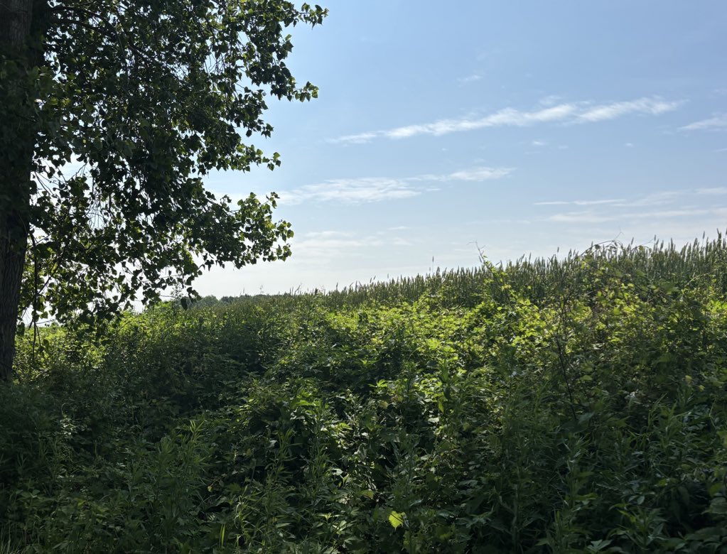 femvore's tweet image. cycled this morning